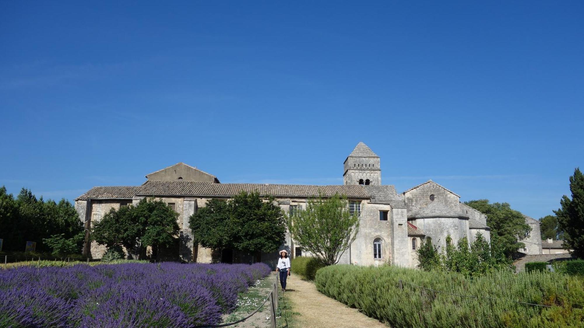 Les Lavandins-Gite Magali Saint-Rémy-de-Provence Екстериор снимка
