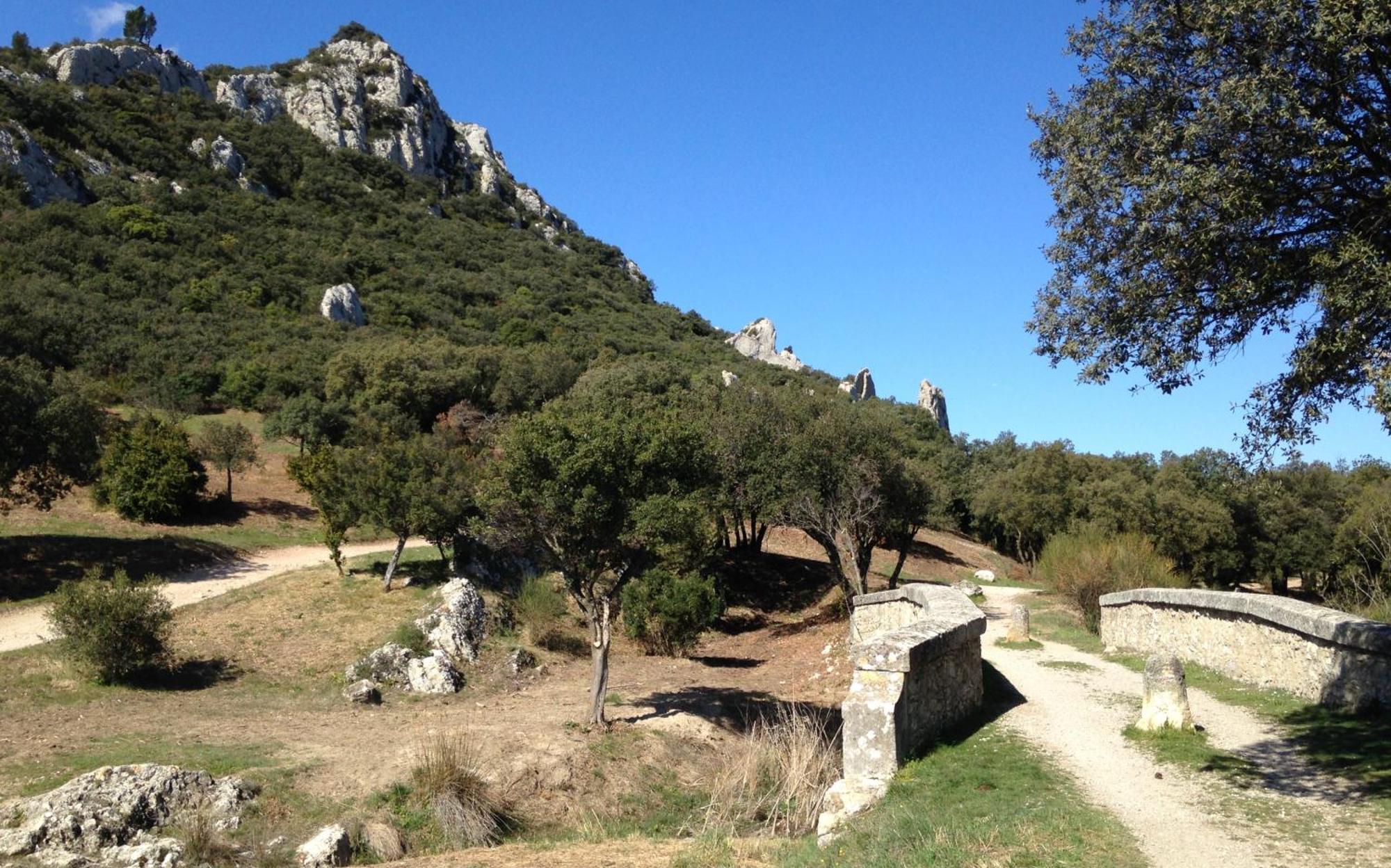 Les Lavandins-Gite Magali Saint-Rémy-de-Provence Екстериор снимка