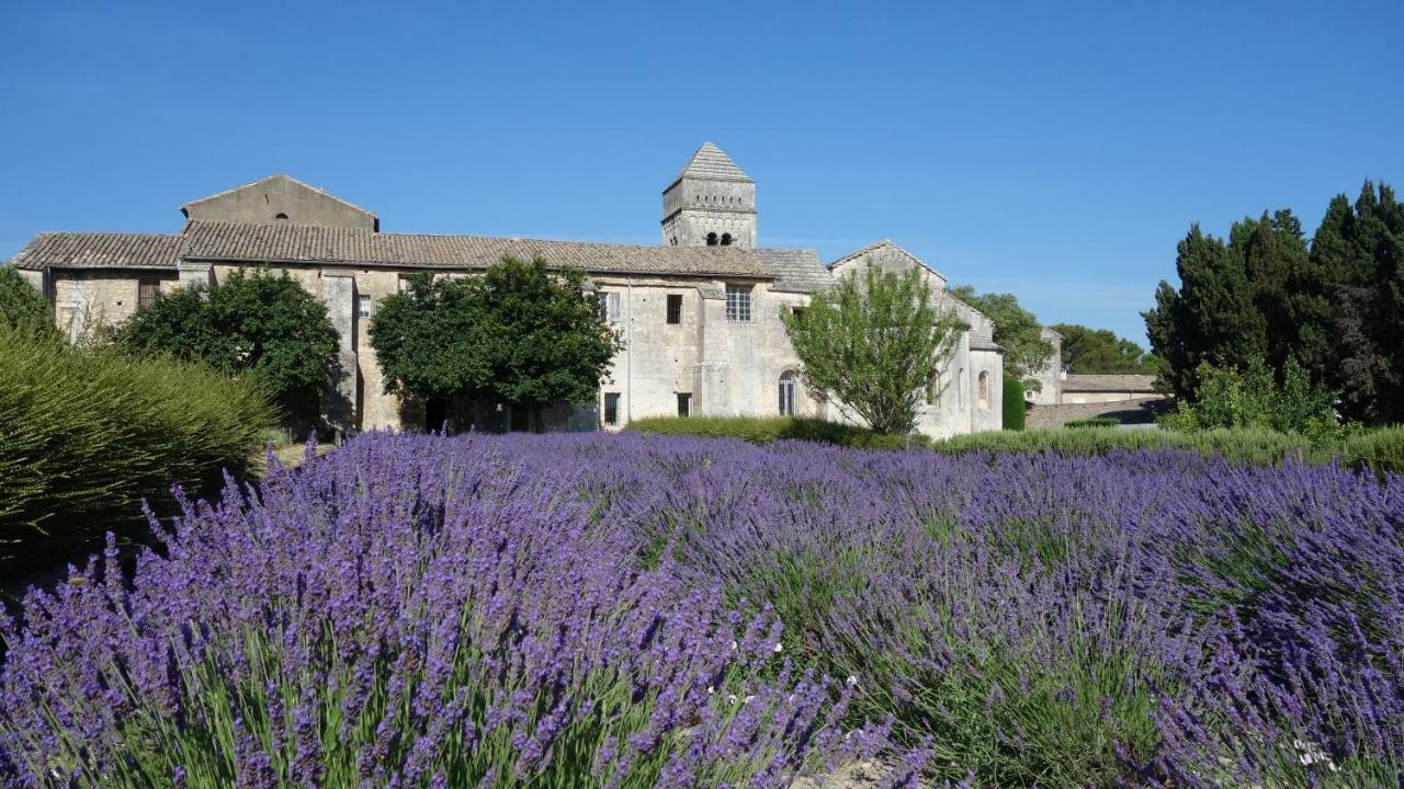 Les Lavandins-Gite Magali Saint-Rémy-de-Provence Екстериор снимка