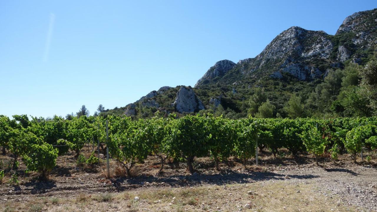 Les Lavandins-Gite Magali Saint-Rémy-de-Provence Екстериор снимка