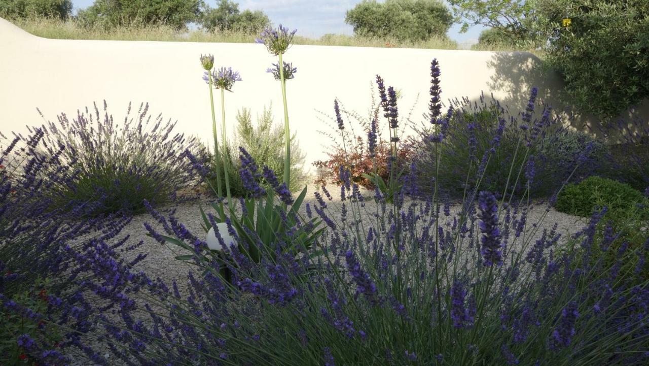 Les Lavandins-Gite Magali Saint-Rémy-de-Provence Екстериор снимка